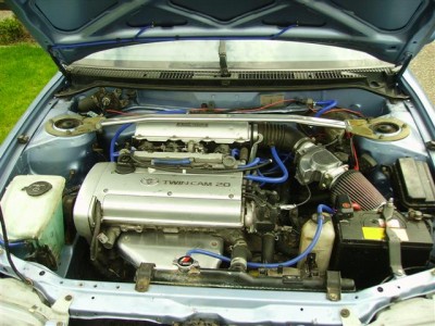 blauwe slangen (Small).jpg