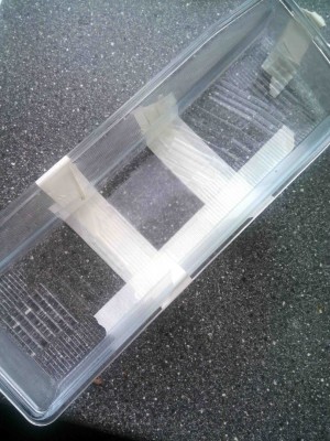 scuren glas twee.jpg