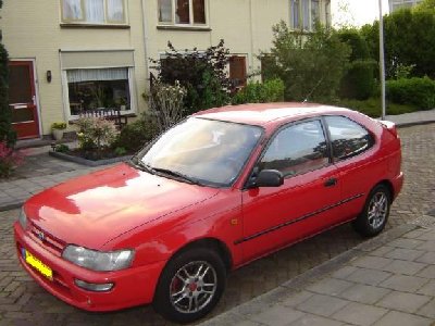 12 witte bumperknippers.jpg